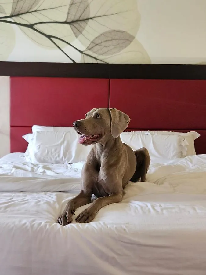 Hotel Griso Collection Malgrate 4*,  Italy